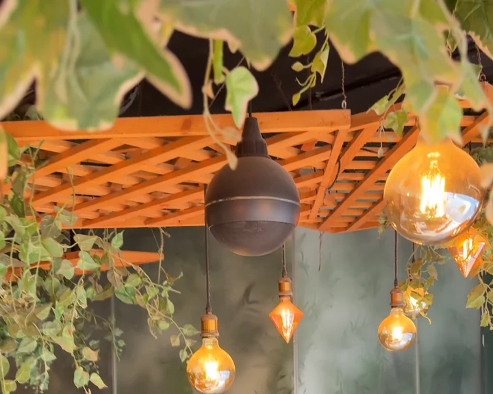 Hanging plants and warm bulbs at Aaraamam Near Karama Fish Market